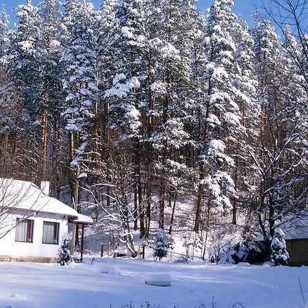 Holiday Home Tanevi トリャブナ エクステリア 写真